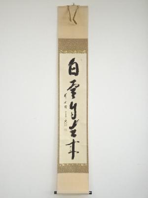 前大徳西垣宗興筆　「白雲自去来」一行書　肉筆紙本掛軸（共箱）